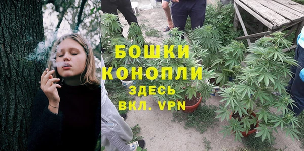 круглые Аркадак